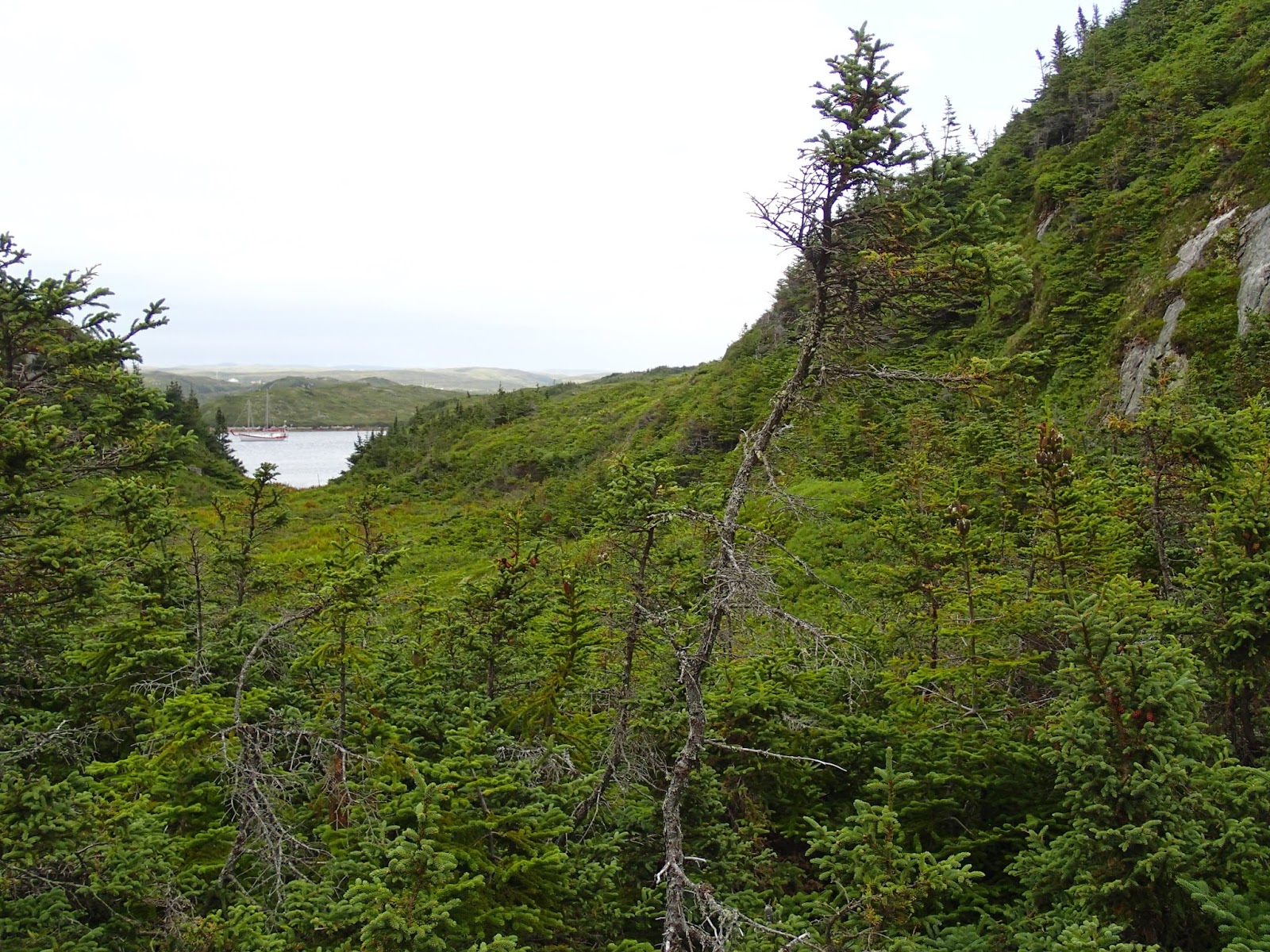 Nomad's Travels Isle aux Morts, Newfoundland
