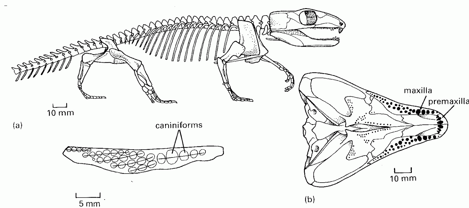 Evolutiebiologie: juni 2013