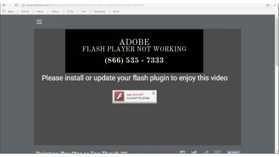 adobe flash player plugin not working