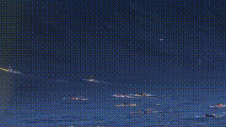 S95xhLI%2B-%2BImgur.gif