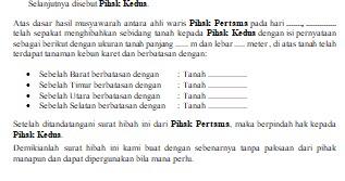 Surat Pernyataan Hibah Tanah Dibuat Oleh Ketua Rt Format