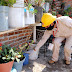 Saneamiento básico, importante para evitar transmisión de dengue