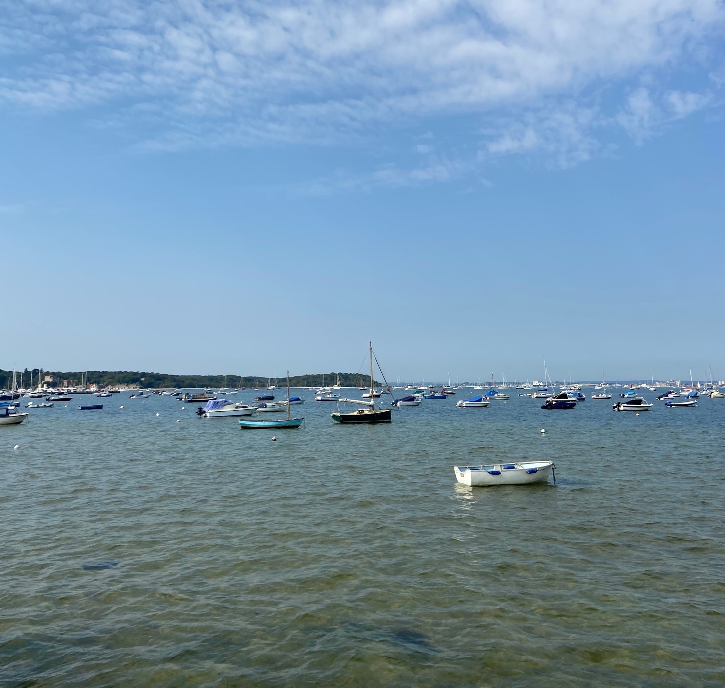 PLACES YOU NEED TO VISIT IN DORSET WOOL OF THE KING