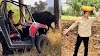 खाली समय में गाड़ी पर सवार होकर खेत में गाय-भैंस चरा रहे हैं धर्मेंद्र, देखें वीडियो