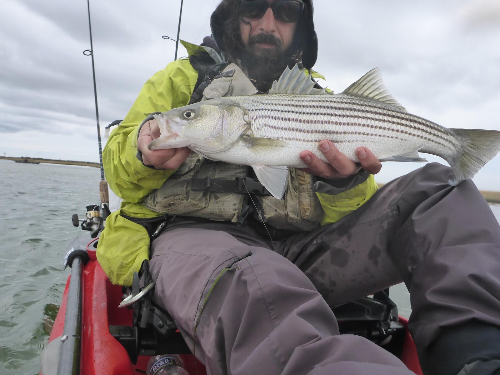 new jersey fishing report fishing new jersey NJ fishing fishing