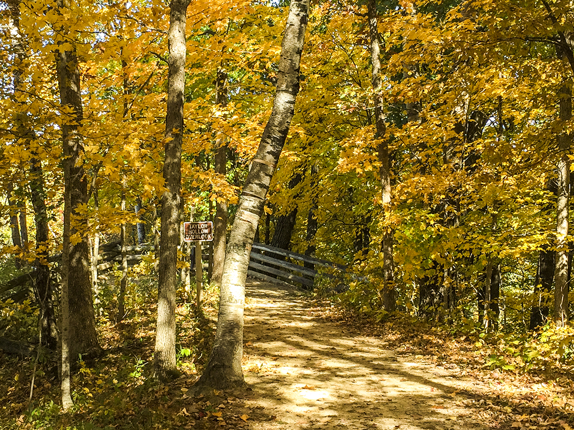 Taylor's Hollow Overlook at Wildcat Mountain State Park