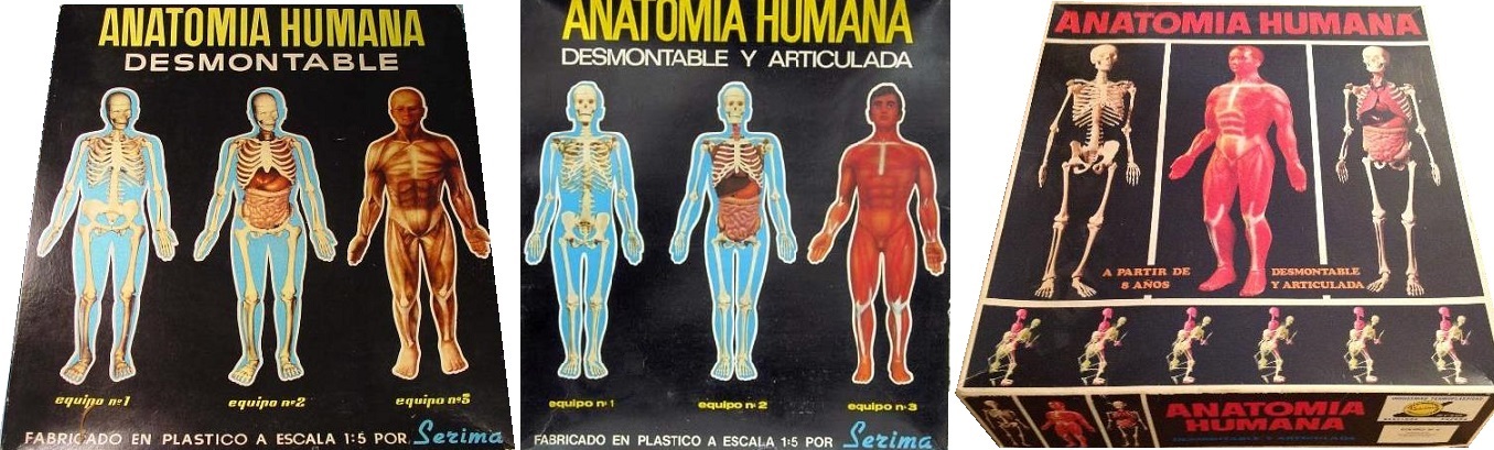 El cuartin de juguete: Anatomia humana de Serima