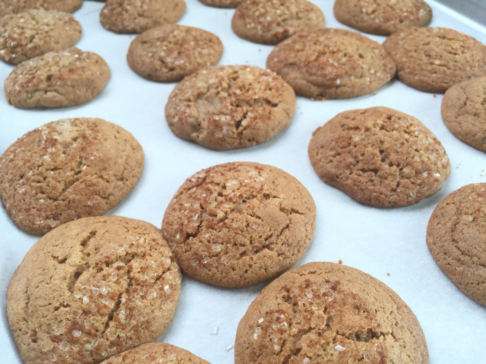 FEAST EVERYDAY Molasses Cookies (with Coconut Oil)