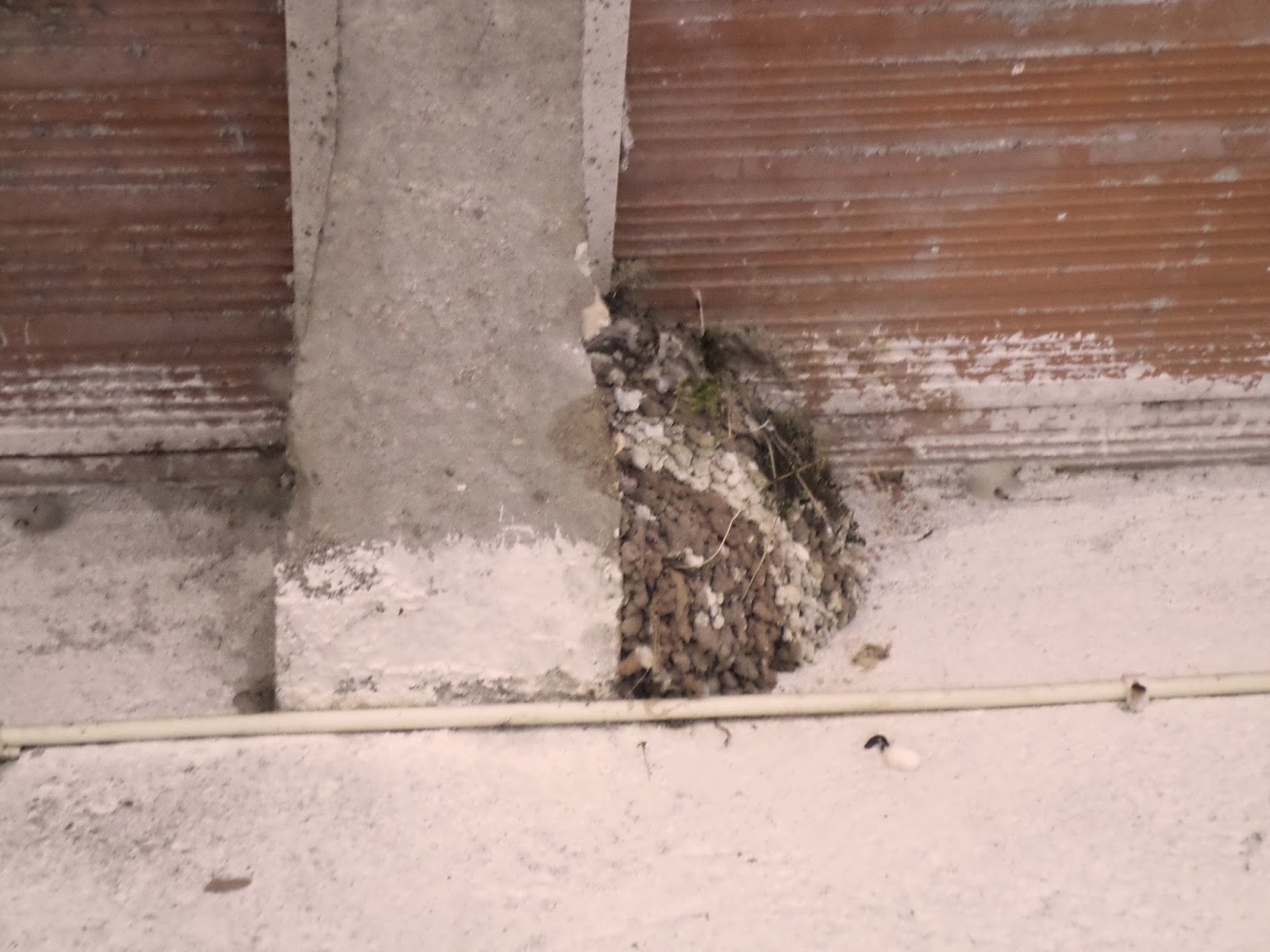 Laboratorio oltremare : luglio 2015