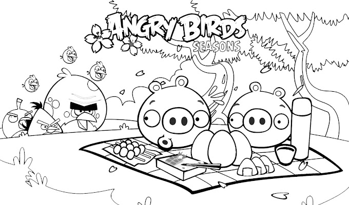 Desenhos dos Angry Birds para colorir, pintar, imprimir e preparar atividades!