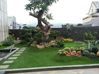Tukang Taman Gresik||Lamongan||Tuban Tukang Taman Gresik||Lamongan||Tuban