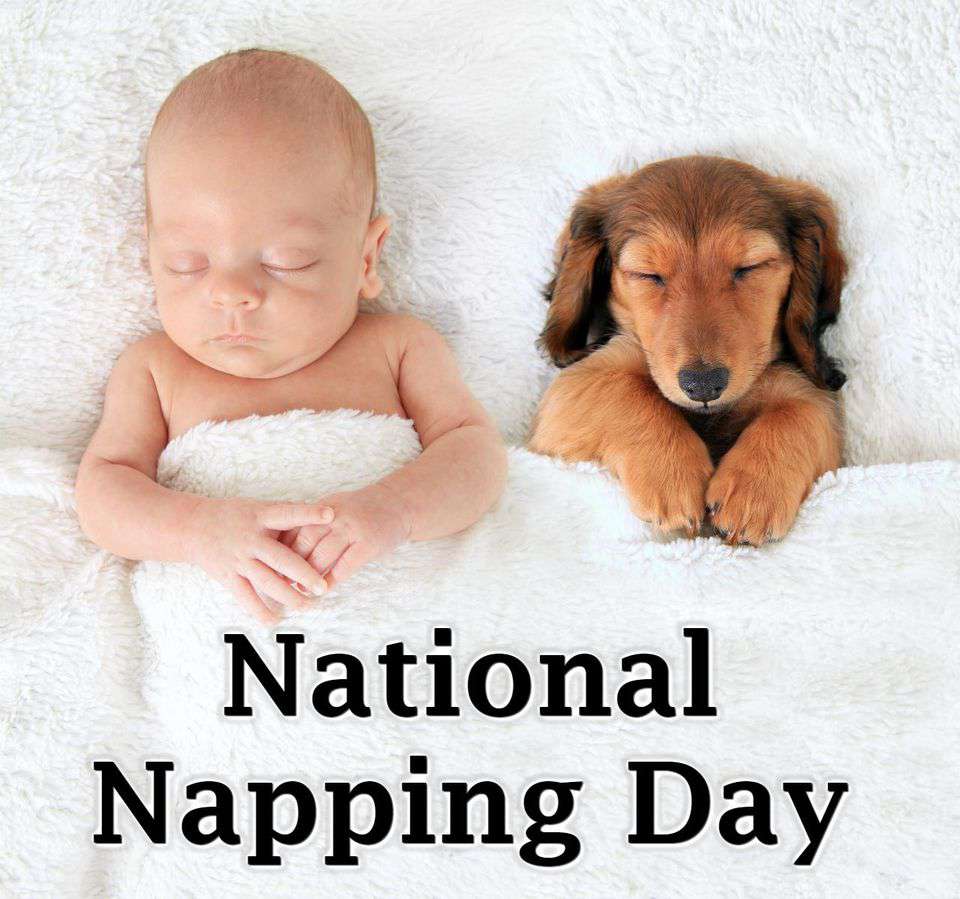 National Napping Day Wishes pics free download National Napping Day Wishes pics free download