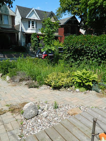 Garden cleanup Leslieville front yard before Paul Jung Gardening Services Toronto