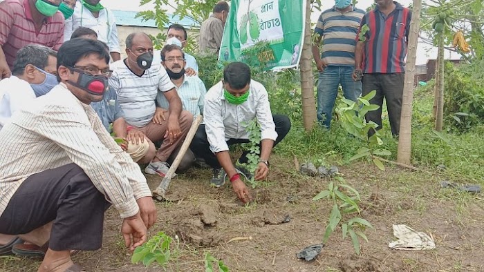 পরিবেশের ভারসাম্য ফিরিয়ে আনতে বর্ধমানে বৃক্ষরপোন কর্মসূচি
