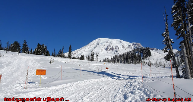 Paradise Mount Rainier