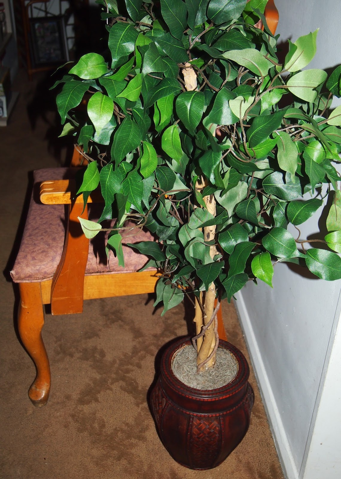 Heck Of A Bunch Silk Plants Direct Ficus Tree Review