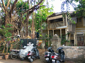 old house, architecture, vintage, bandra, mumbai, incredible india, banyan tree, street, streetphoto, 