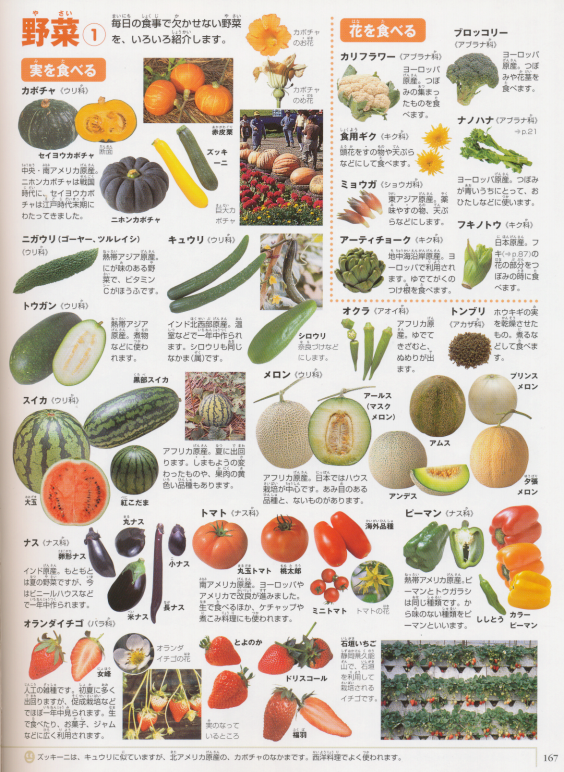 Let's Take a Look How many kind of fruits and vegetables do you know in Japanese? Here are some