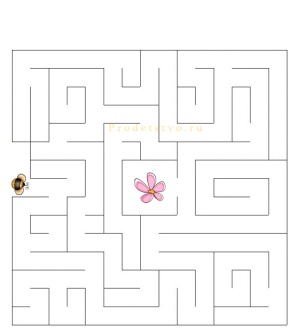 Лабиринт цветы для детей. Лабиринт цветок. Лабиринт цветок. Лабиринт для детей 6 лет. Лабиринт цветок.
