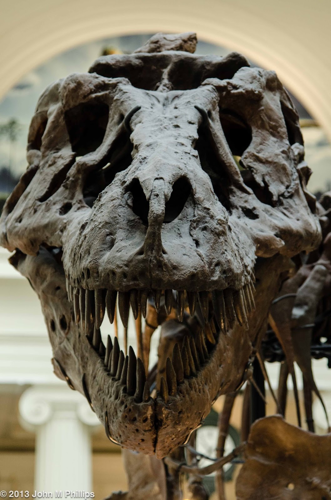 SKEPTIC PHOTO: FIELD MUSEUM