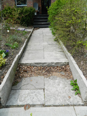 Greektown Toronto Spring Cleanup Front Garden Before by Paul Jung Gardening Services--a Toronto Organic Gardener Greektown Toronto Spring Cleanup Front Garden Before by Paul Jung Gardening Services--a Toronto Organic Gardener