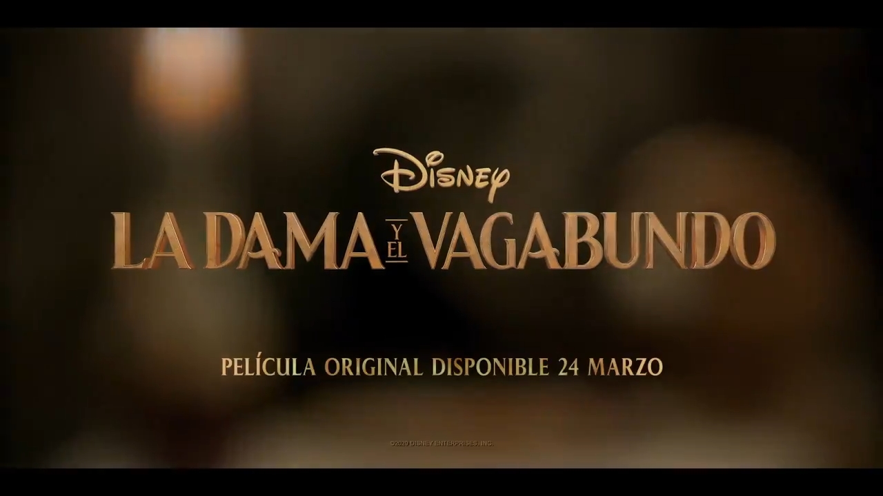 Disney+ España estrena el tráiler oficial del live-action de 'La Dama y el  Vagabundo' en castellano