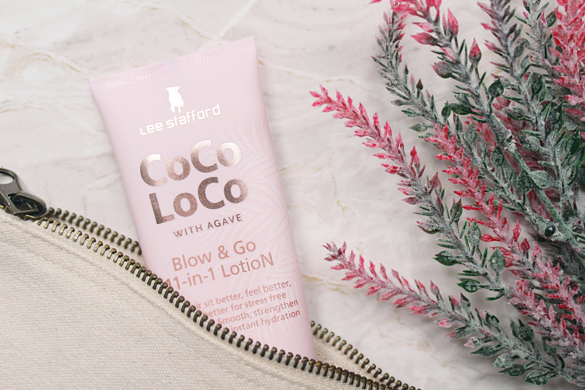 Lee Stafford Coco Loco with Agave Blow Dry Lotion Review