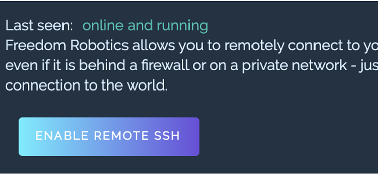 SSH into Your Robot from Anywhere