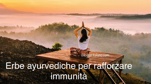 Erbe ayurvediche per rafforzare immunità Erbe ayurvediche per rafforzare immunità