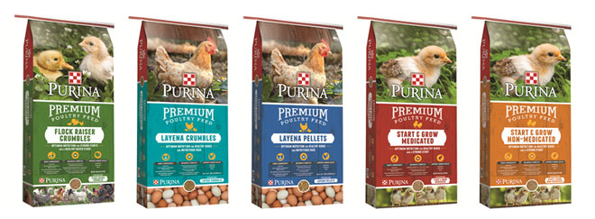 where is purina chicken feed made