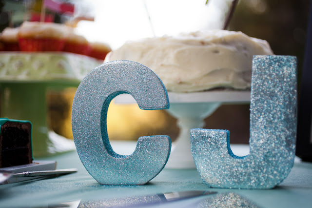 behind the veil of kiss my tulle on oh lovely day