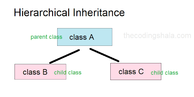 Java Hierarchical Inheritance - The Coding Shala
