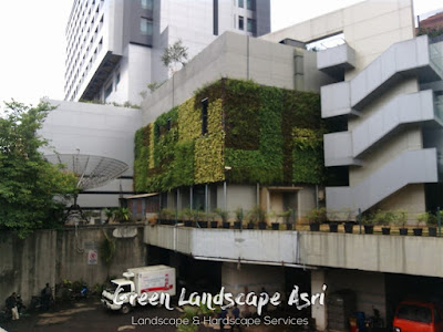 Jasa Pembuatan Vertical Garden dan Harga Pasang Terbaru di Semarang