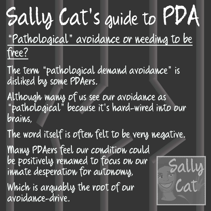 Sally Cat PDA December 2019