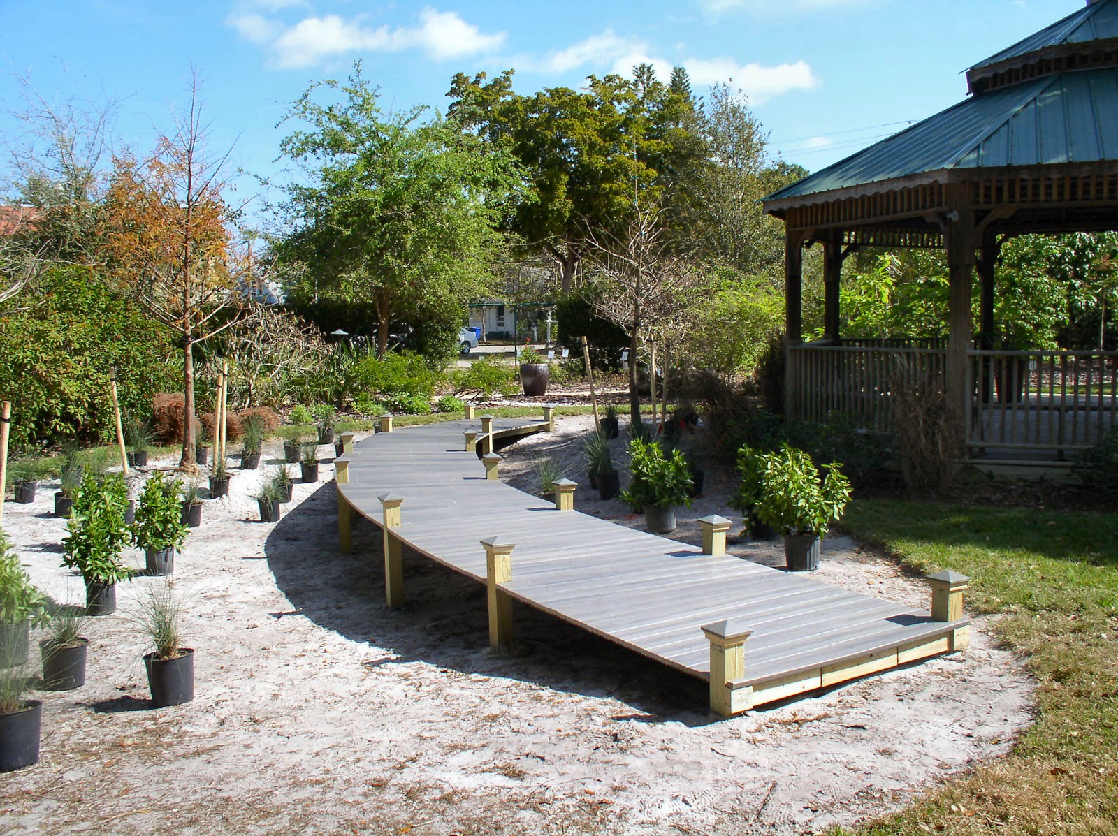 Florida Flowers and Gardens: Building a Rain Garden