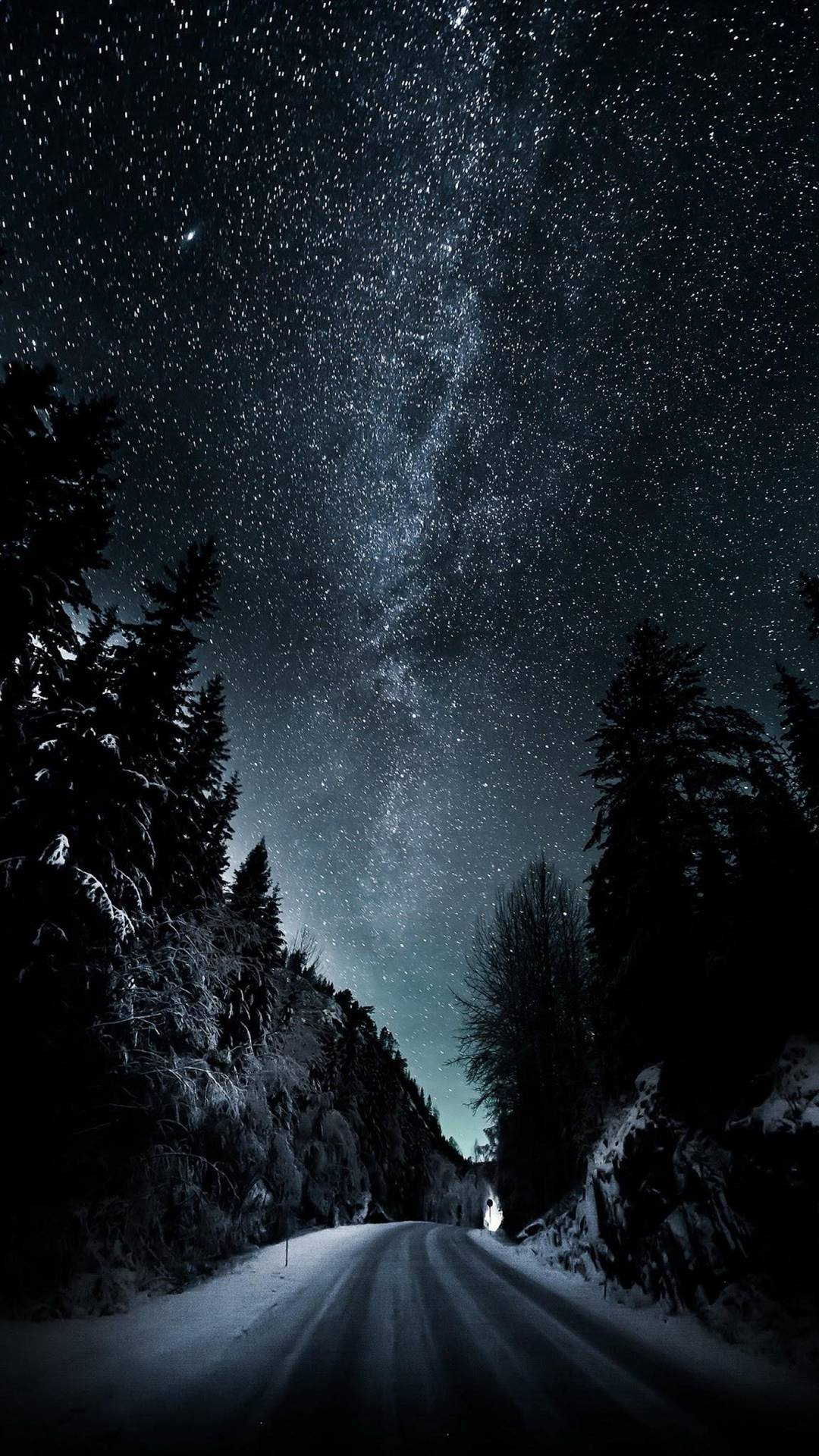 Forest Milky Way Road mobile wallpaper