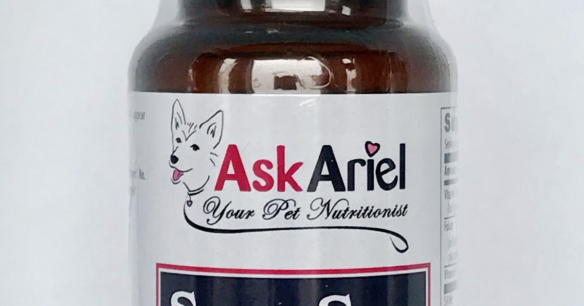 SAMe Is Essential When Giving Dogs NSAIDs For Pain Holistic Vet and