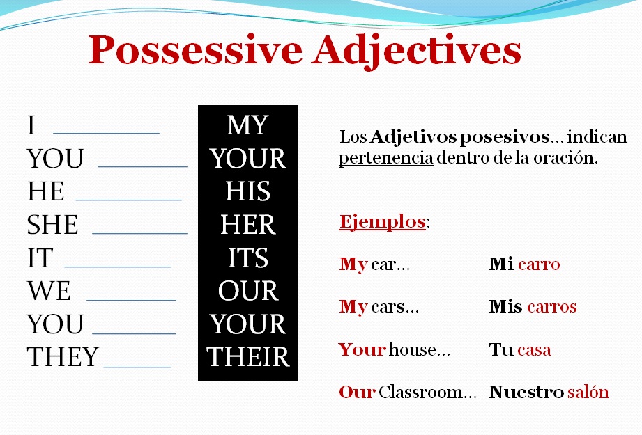 english-class-1st-semester-cbtis-possessive-adjectives