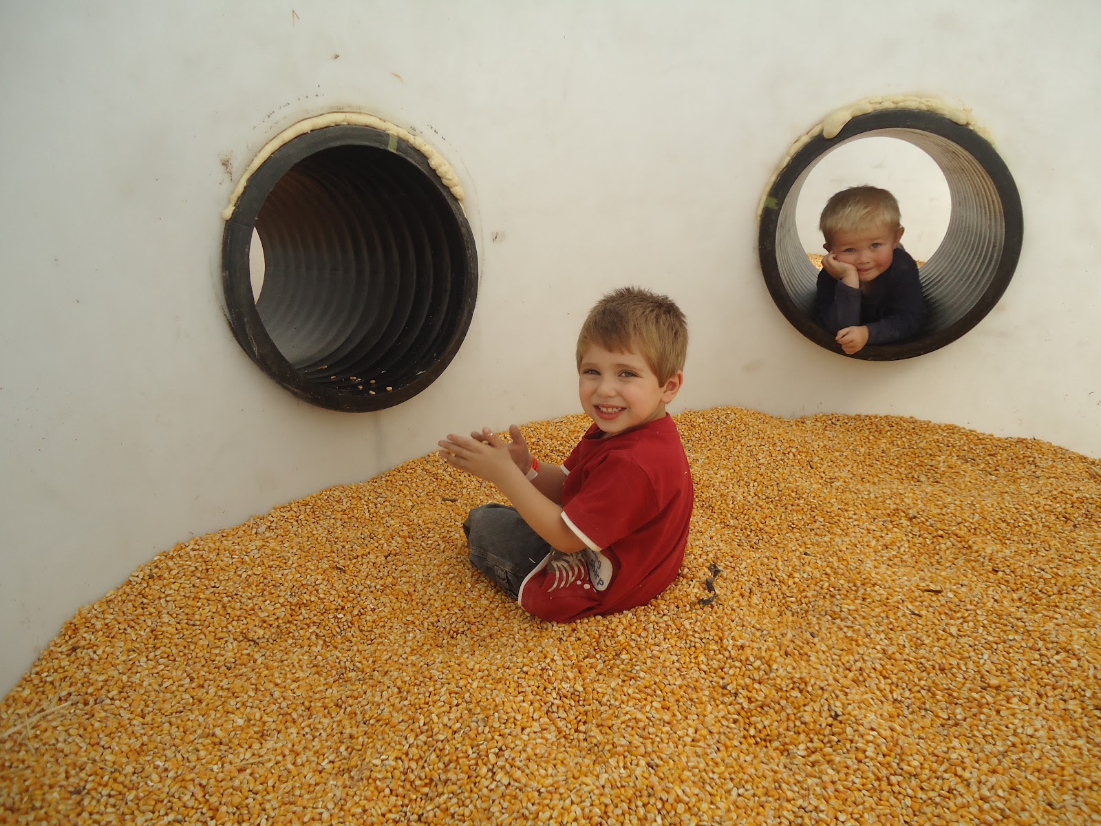 C'est La Vie Children in the Corn, or Why My Children Had Corn in