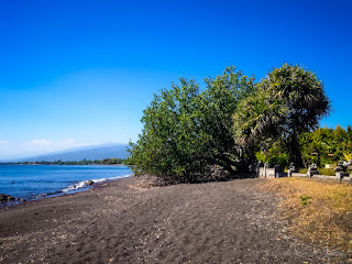 Warm Tropical Beach Scenery With Natural Plants And Trees On A Sunny Day At The Village Umeanyar North Bali Indonesia