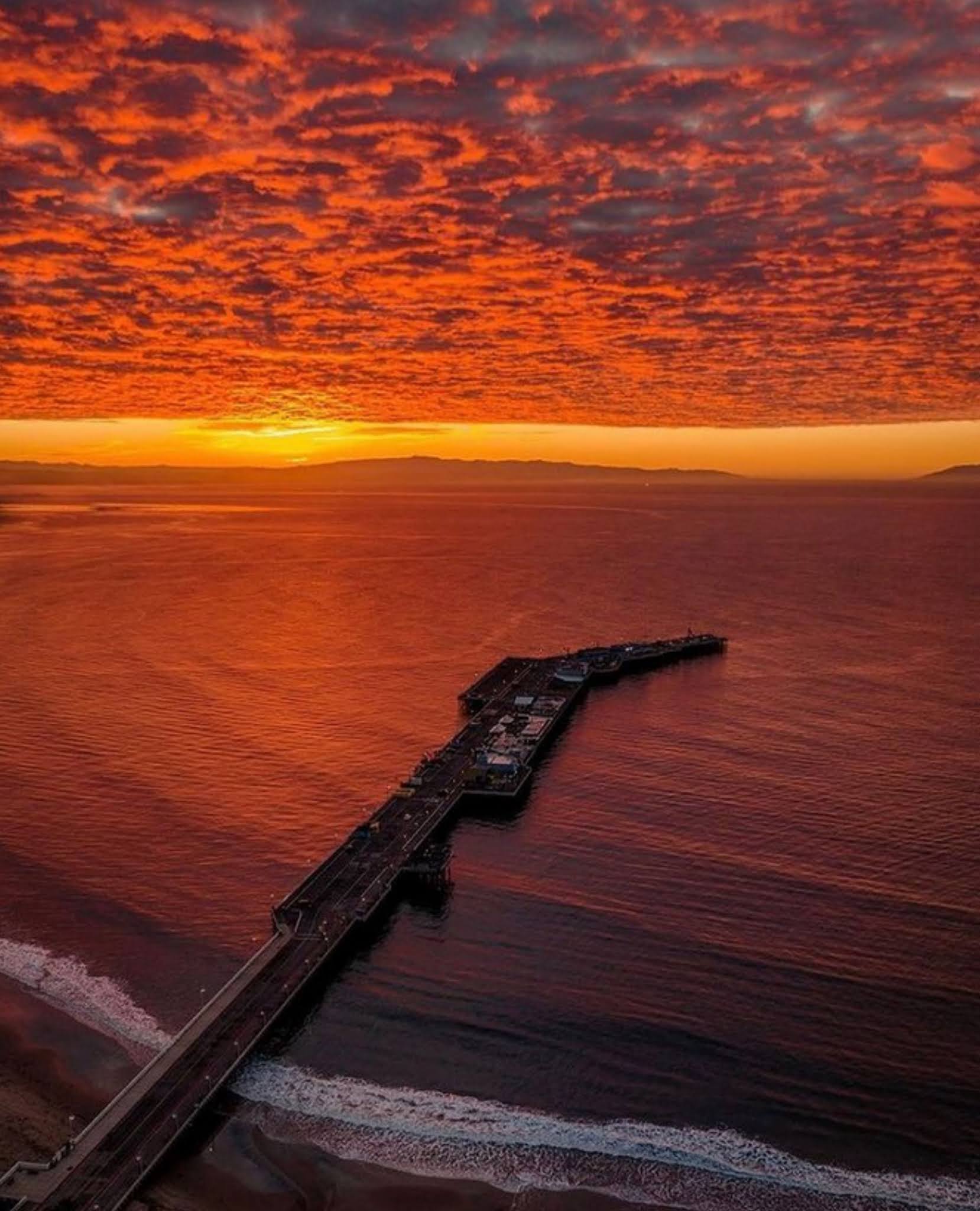 Forestdweller Santa Cruz Wharf