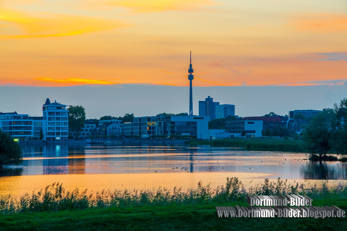 Borussia Dortmund Hintergrundbilder Hd Hintergrundbilder