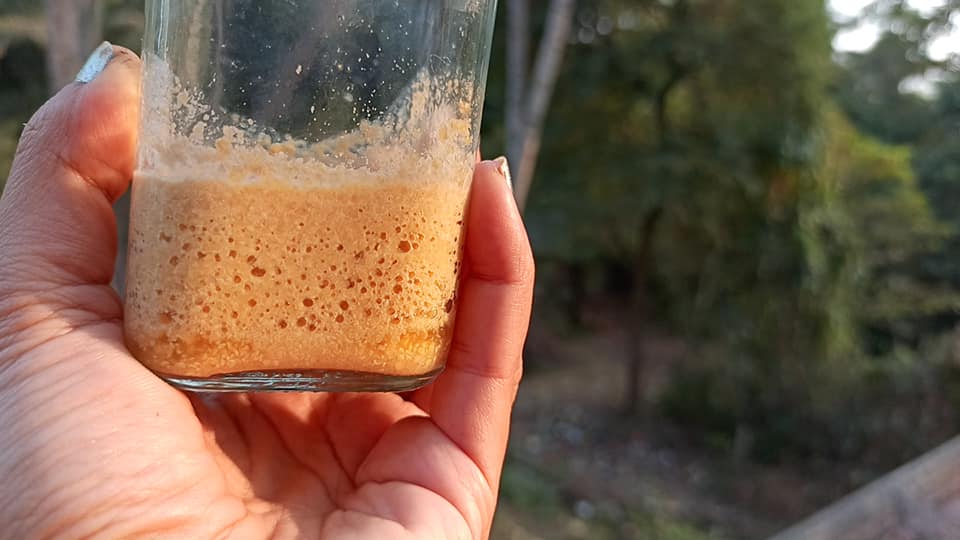 How to make Lacto Fermented Yellow Mustard Recipe in India Natural