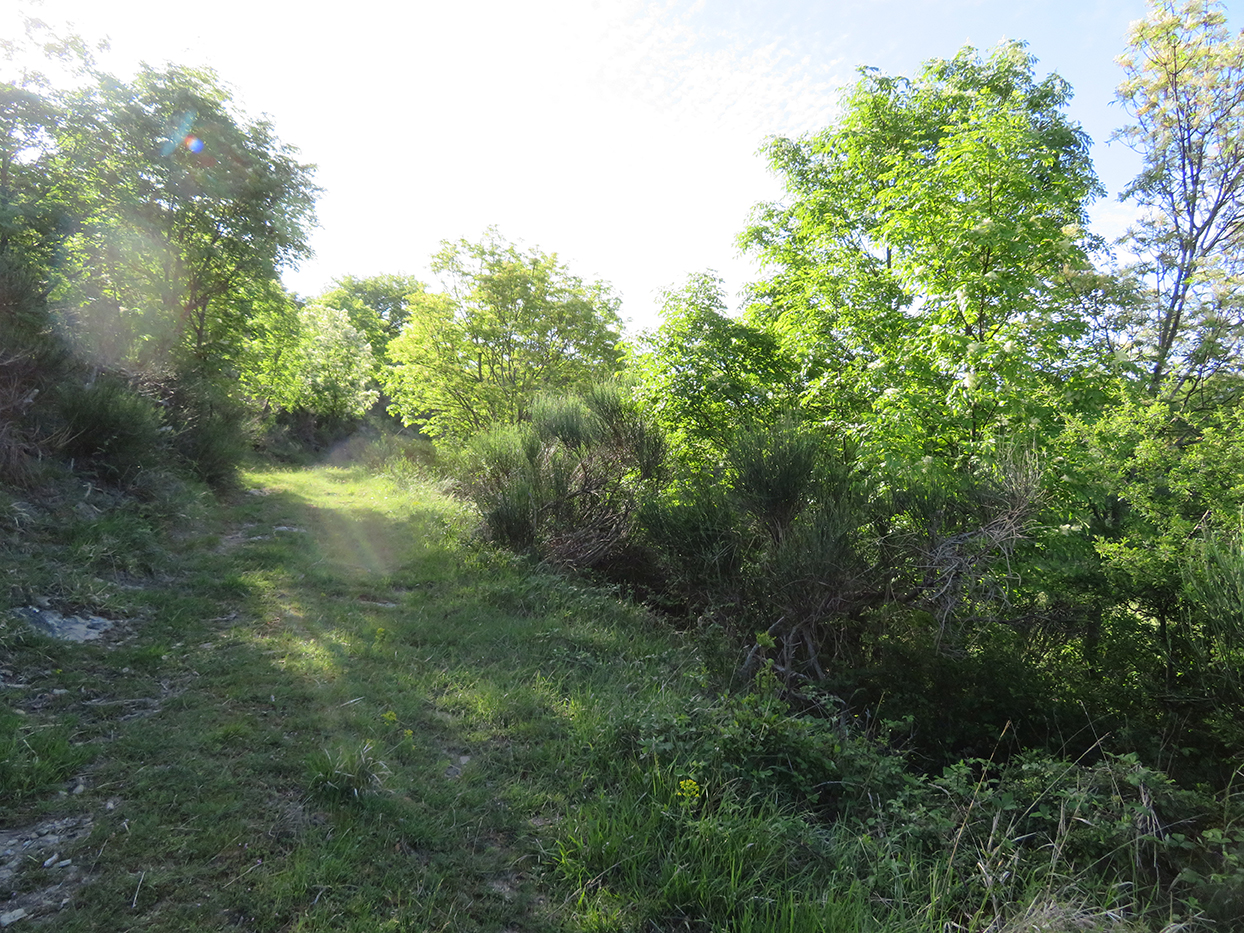 Escursionismo a 360° Monte Marino (EE)