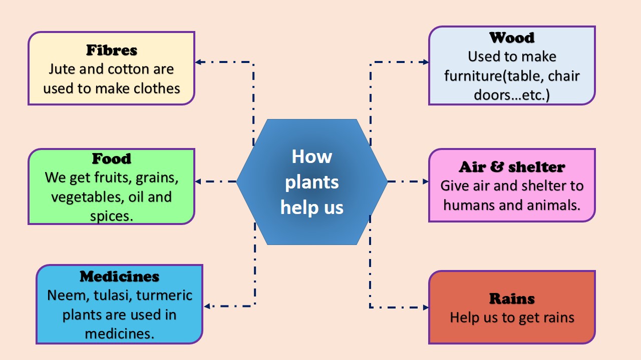"Let's Plant Our Green Friends" Lesson plan and interactive activities.