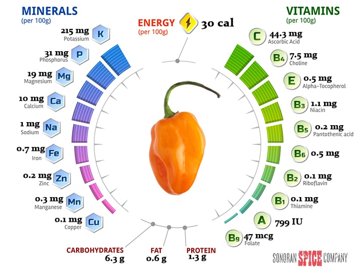 Bio Garden, Vineyard, Olive Grove, and Bonsai Art