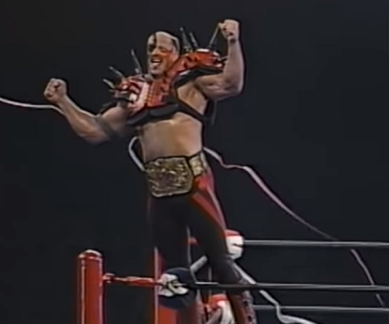 WWF Action force Figures Legion of Doom Undertaker Rick Martel Hulk Hogan Koko 
