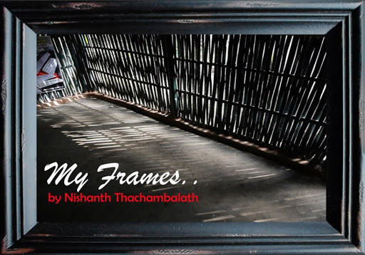 My Frames - Blog for my Snaps