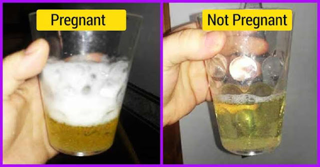प्रेगनेंसी टेस्ट करने के घरेलू उपाय pregnancy test karne ke gharelu upay प्रेगनेंसी टेस्ट करने के घरेलू उपाय pregnancy test karne ke gharelu upay