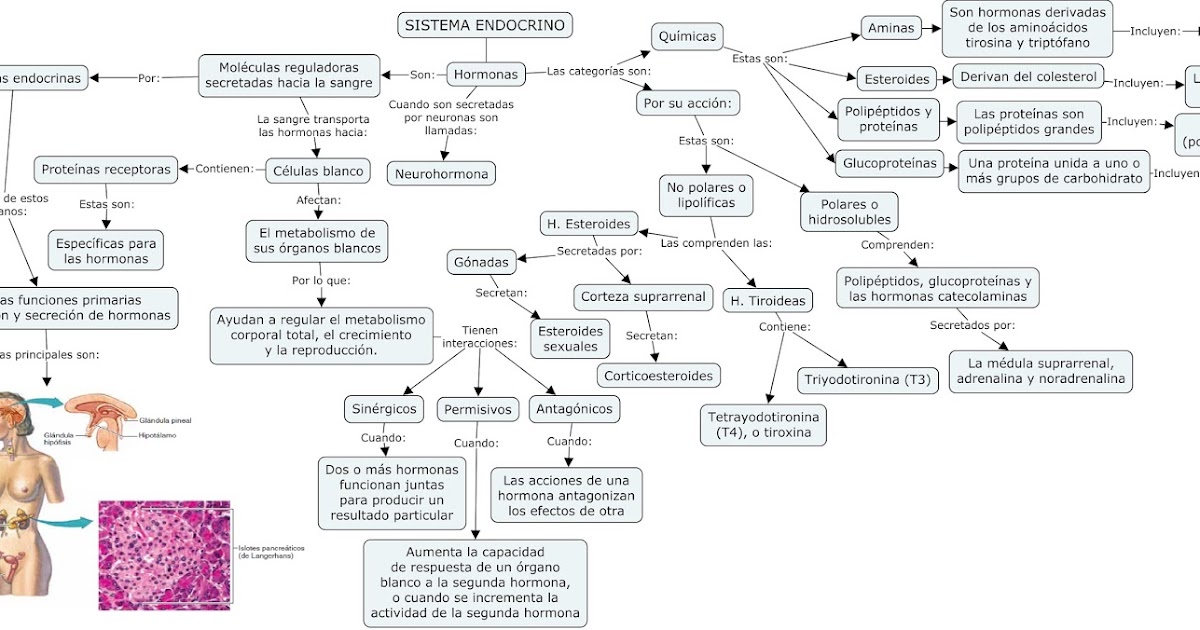 Endocrino especialista en tiroides barcelona